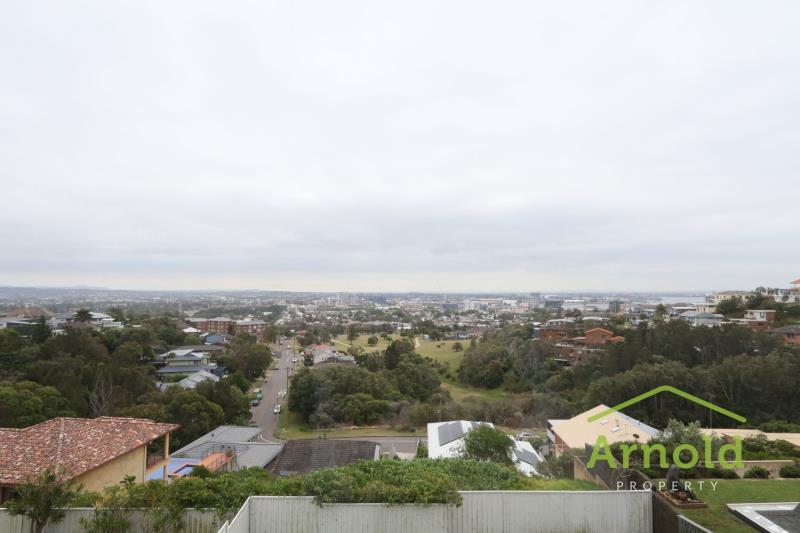 3/26 Memorial Drive, The Hill NSW 2300 -